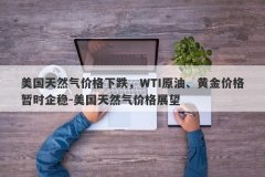 美国天然气价格下跌，WTI原油、黄金价格暂时企稳-美国天然气价格展望