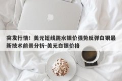 突发行情！美元短线跳水银价强势反弹白银最新技术前景分析-美元白银价格