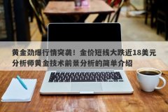 黄金劲爆行情突袭！金价短线大跌近18美元分析师黄金技术前景分析的简单介绍