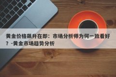 黄金价格飙升在即：市场分析师为何一致看好？-黄金市场趋势分析