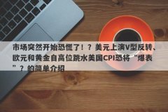 市场突然开始恐慌了！？美元上演V型反转、欧元和黄金自高位跳水美国CPI恐将