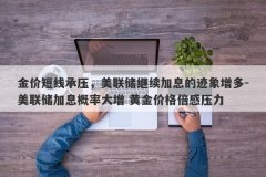 金价短线承压，美联储继续加息的迹象增多-美联储加息概率大增 黄金价格倍感