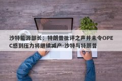 沙特能源部长：特朗普批评之声并未令OPEC感到压力将继续减产-沙特与特朗普