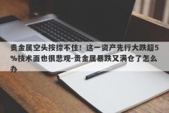 贵金属空头按捺不住！这一资产先行大跌超5%技术面也很悲观-贵金属暴跌又满仓了怎么办