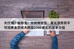 大行情一触即发！分析师警告：美元涨势势不可挡黄金恐将大跌至1700美元的简