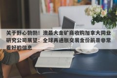 关于野心勃勃！澳最大金矿商收购加拿大同业研究公司展望：全球再通胀交易金