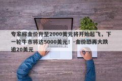 专家称金价升至2000美元将开始起飞，下一轮牛市将达5000美元！-金价恐再大跌逾