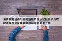金价复苏望高！美国通胀数据示软促美债走跌欧美疫情呈反比难领航风险的简单
