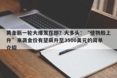 黄金新一轮大爆发在即？大多头：“怪物般上升”来袭金价有望飙升至3500美元