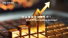 什么是现货交易杠杆？