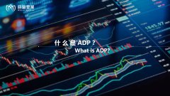 什么是ADP