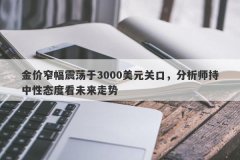 金价窄幅震荡于3000美元关口，分析师持中性态度看未来走势